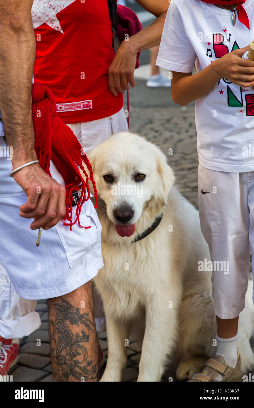 Bayona, Francia - Julio31: Perro en los tradicionales colores rojo y blanco  en el 'Fetes de Bayonne " Festivales en el norte euskera Fotografía de  stock - Alamy