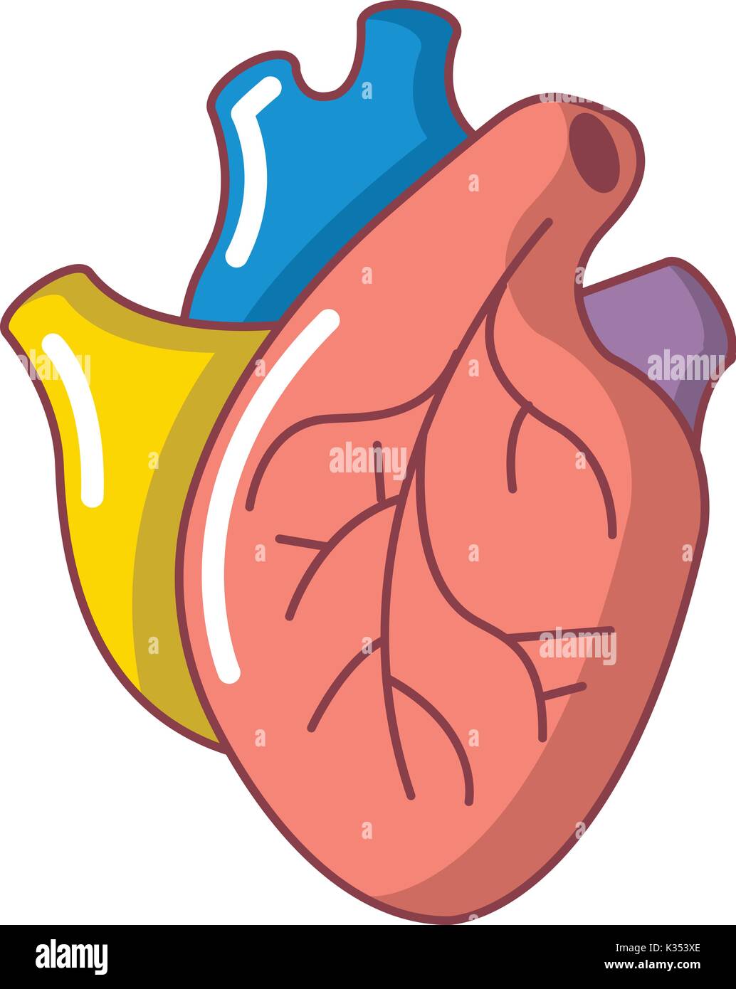 Órgano del corazón humano, el icono de estilo de dibujos animados Imagen  Vector de stock - Alamy