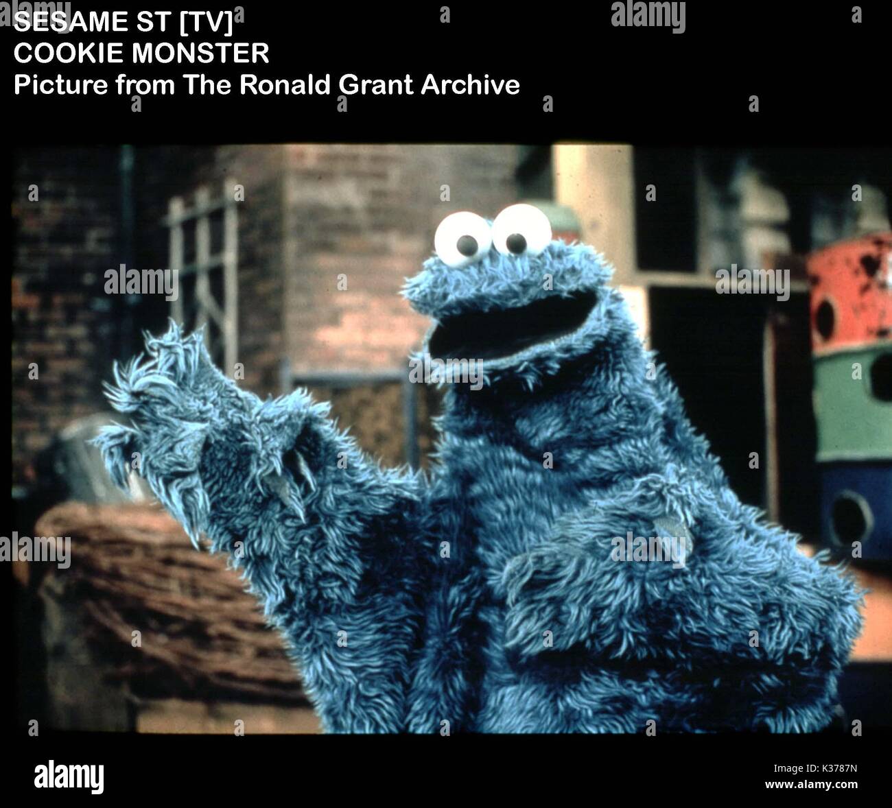 el monstruo de las galletas fondo - Buscar con Google  Cookie monster  pictures, Monster cookies, Sesame street cookie monster