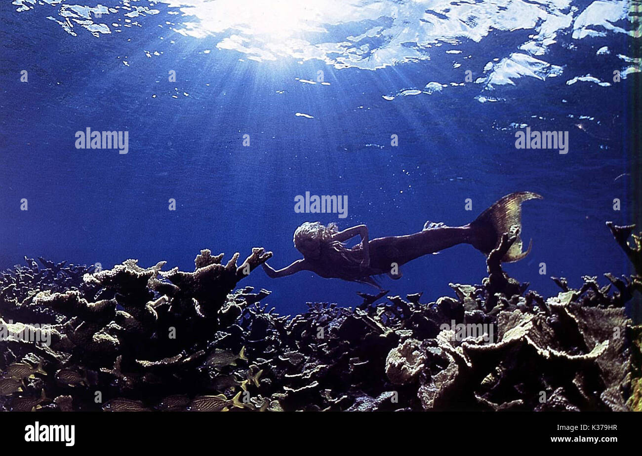 Daryl Hannah Splash Fotos E Imágenes De Stock Alamy 