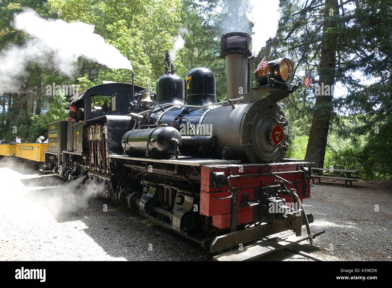 Roaring Camp Ferrocarriles - Real trenes desde el decenio de 1890 llevará a lo largo de rutas panorámicas. Foto de stock