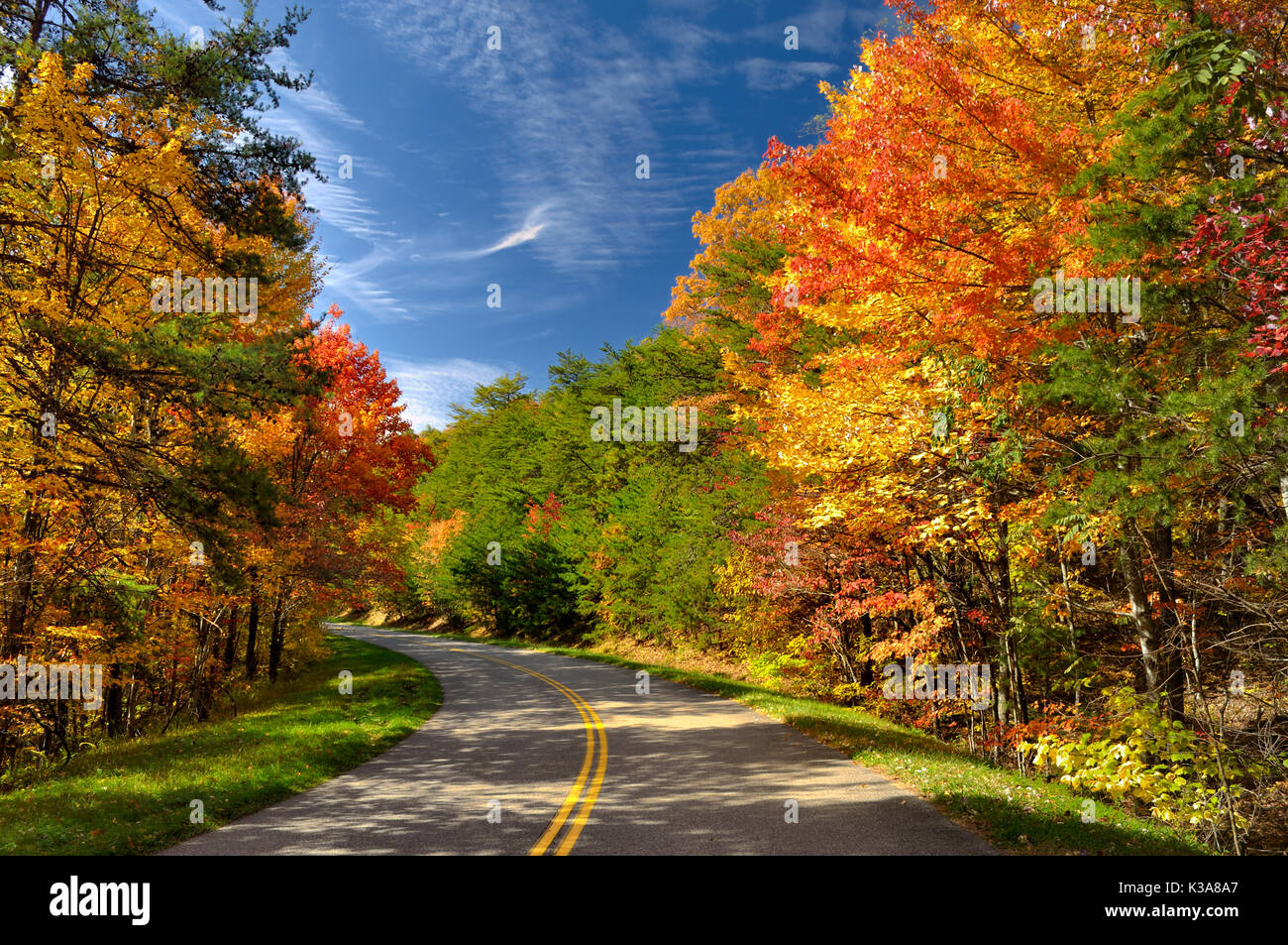 Coloridas hojas en Foothills Parkway West en el Great Smoky Mountains National Park a finales de octubre. Foto de stock