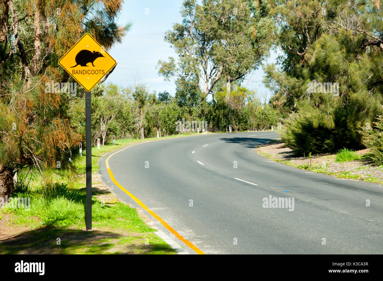 Señal de Carretera Bandicoots - Australia Foto de stock