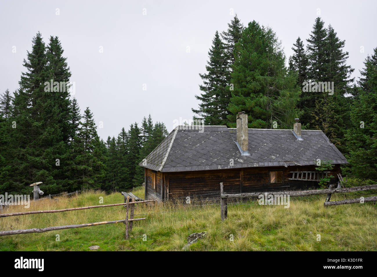Rústica aislada cabaña alpina usado como un pabellón de caza en medio de un bosque de coníferas y pastos de montaña en Austria. Foto de stock