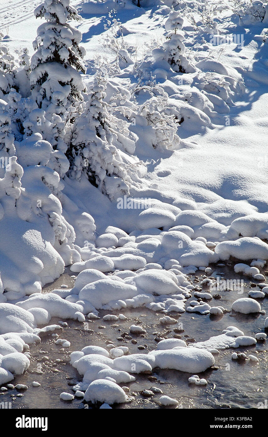 Brook cubiertos de nieve. Foto de stock