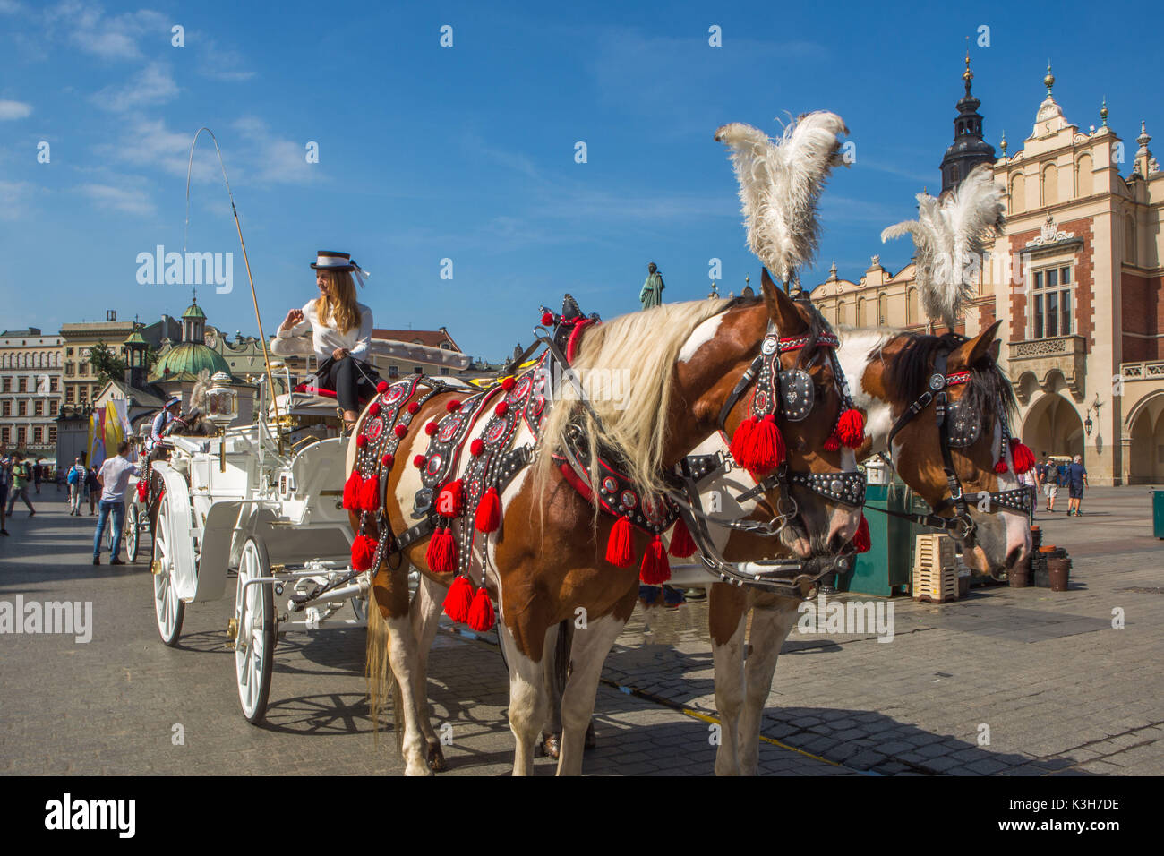 Polonia, Cracovia, la plaza del mercado, la ciudad de Caballos Foto de stock