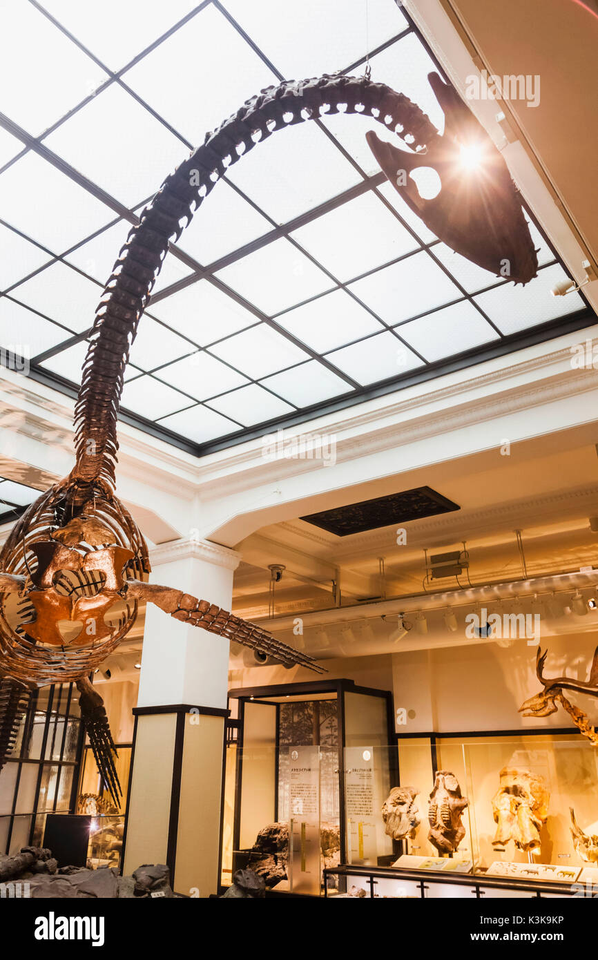Japón, Hoshu, Tokio, el parque Ueno, el Museo Nacional de Naturaleza y Ciencia, Plesiosaurio esqueleto de dinosaurio Foto de stock