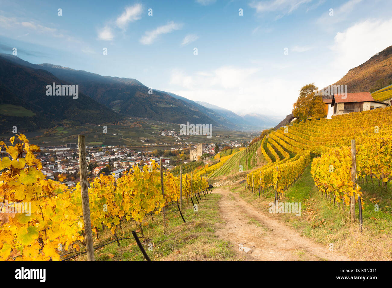 Una vista otoñal de la aldea de Naturns en la luz del amanecer con viñedos en primer plano, Vinschgau, provincia de Bolzano, Tirol del Sur, Trentino Alto Adige, Italia, Europa Foto de stock
