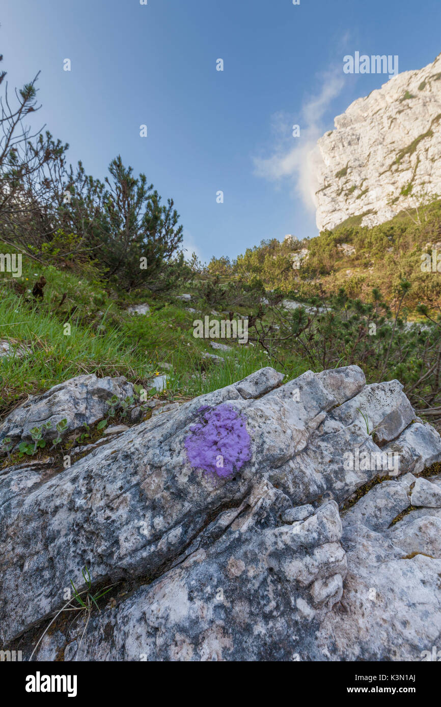 Europa, el norte de Italia, Veneto, Belluno, Monti del Sole, Dolomitas. Signo sendero marcado con el color del Parque Nacional Dolomitas de Belluno Foto de stock
