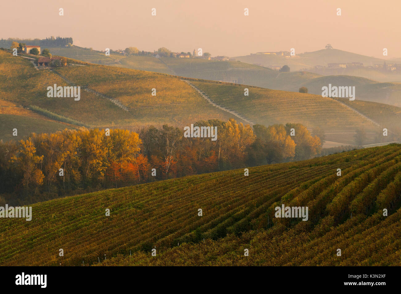 Italia, Piamonte, distrito de Cuneo, Langhe - Amanecer otoñal Foto de stock