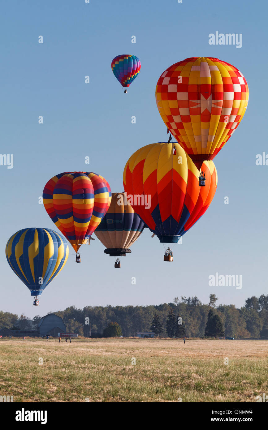 Coloridos globos aerostáticos flotan a través del cielo en Albany, Oregon,  USA Fotografía de stock - Alamy