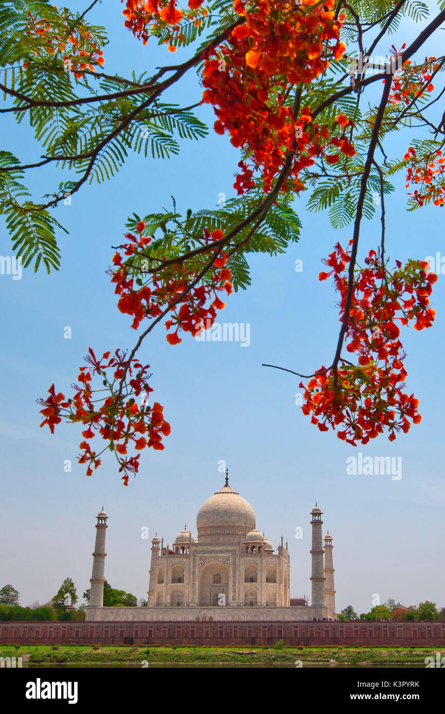 Taj Mahal representa el mejor logro arquitectónico y artístico a través de la perfecta armonía y excelente artesanía en toda una gama de arquitectura sepulcrales Indo-Islamic Agra, India Foto de stock