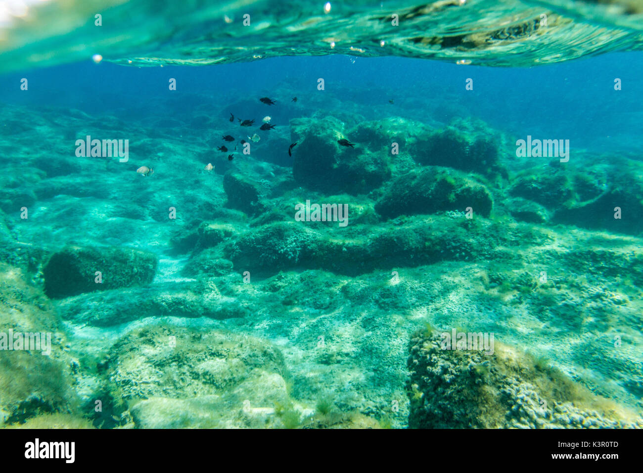 Vista subacuática de peces nadando en el mar turquesa de Sant Elmo Castiadas Costa Rei Cerdeña Cagliari Italia Europa Foto de stock