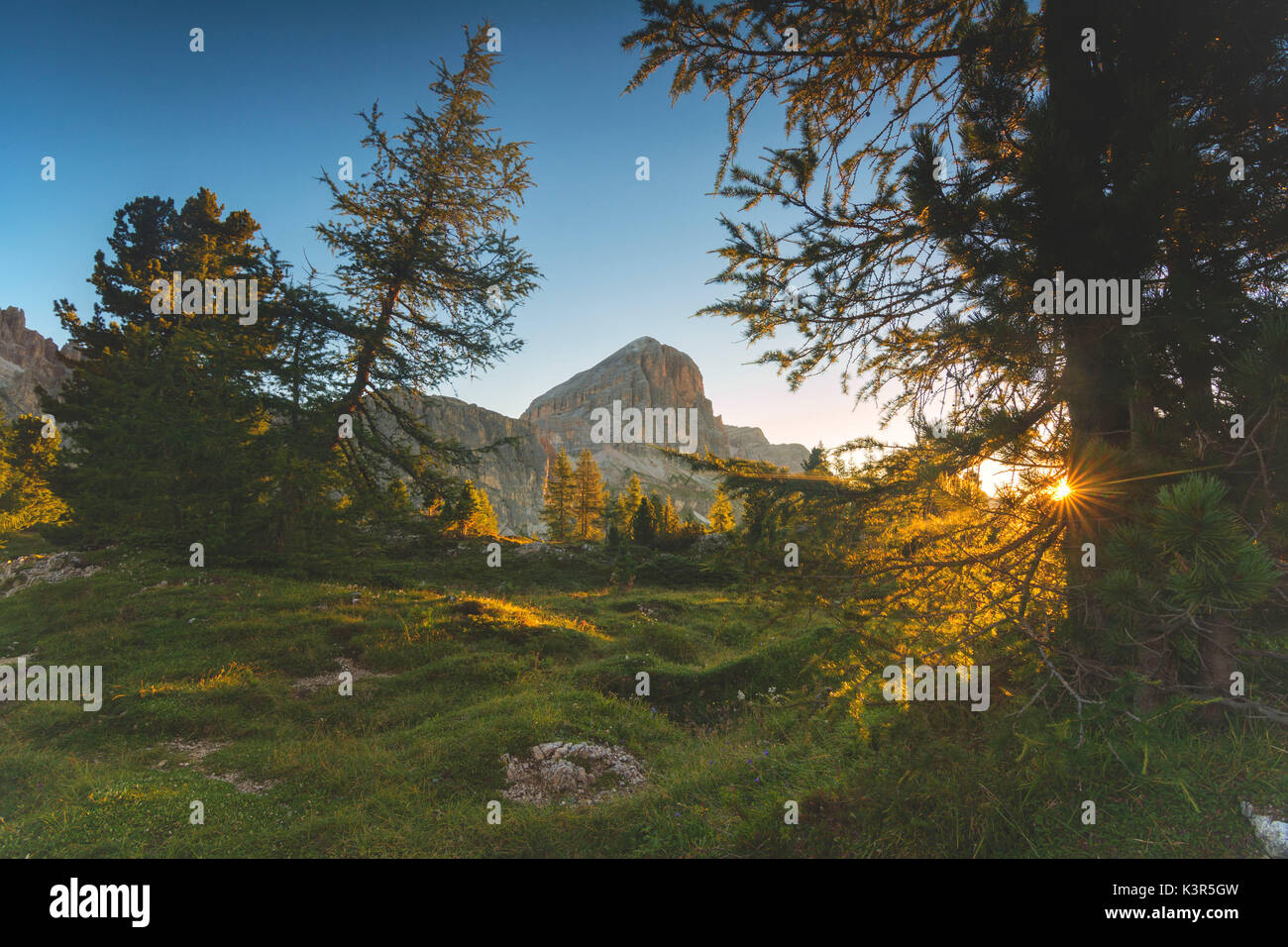 Amanecer en el bosque, en la provincia de Belluno, Veneto, Italia. Foto de stock