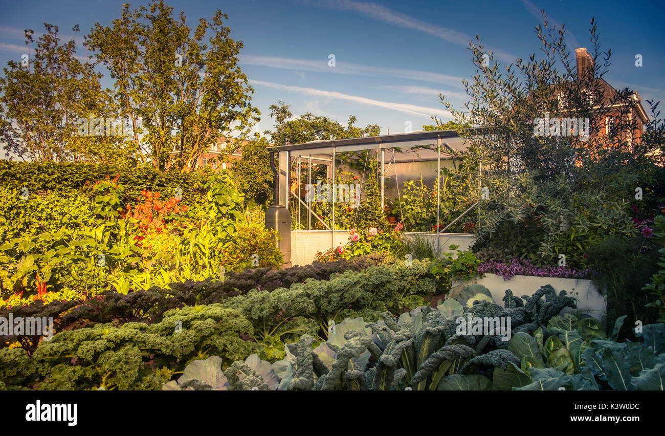 Radio 2 feel good garden: "el gusto de Chris Evans jardín" en el 2017, Chelsea Flower Show en Londres. Foto de stock