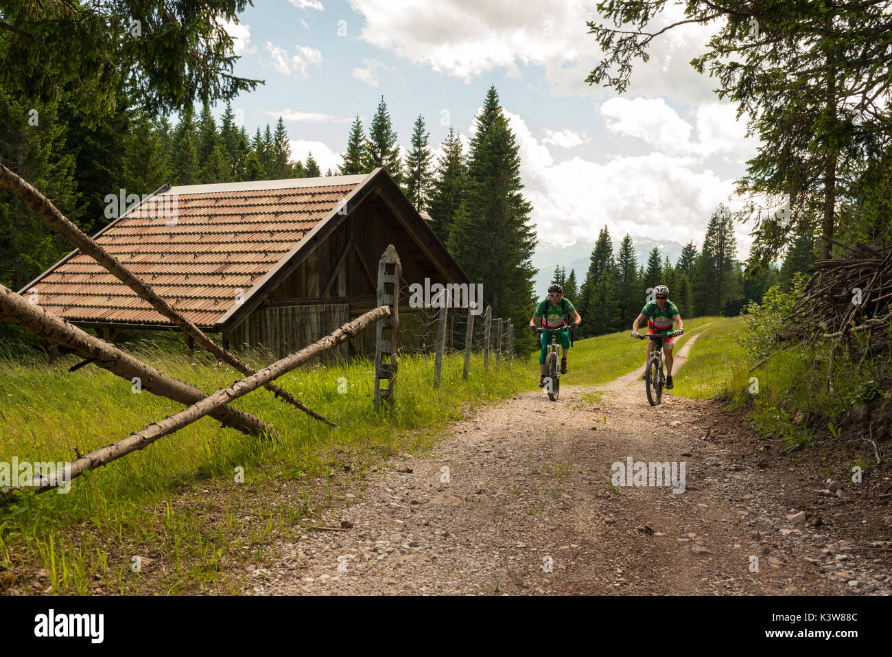 Italia, Trentino Alto Adigio, ciclistas en los bosques de la Val di Non. Foto de stock