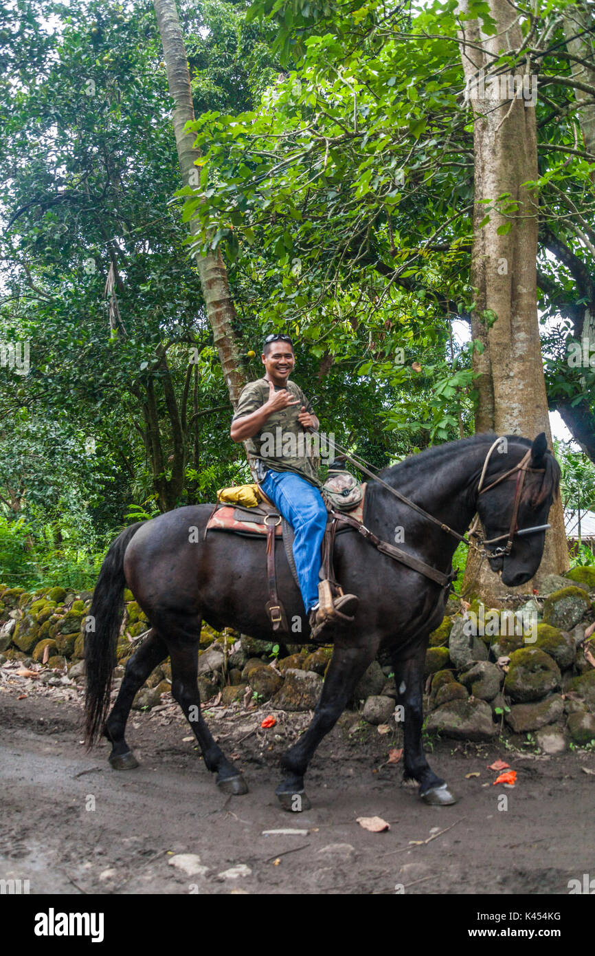 Guía turística conduce aventura cabalgando en waipio Valley, en la Isla Grande de Hawai Foto de stock