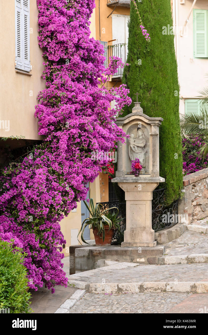 Bugambilias en frente de una casa antigua de ciudad, Cannes, Francia Foto de stock