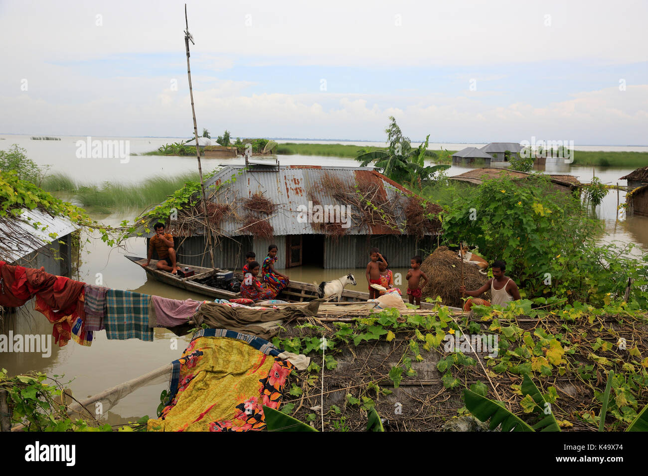 Pobladores refugiarse en un barco como su hogar sumergidos por las aguas de la inundación en ulipur en kurigram. La mayoría de las zonas del distrito de kurigram ulipur (EN) devastado por Foto de stock