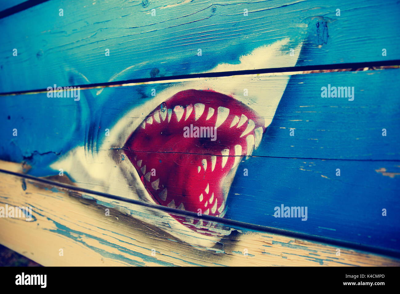 Graffiti en el muro boards tiburón Foto de stock
