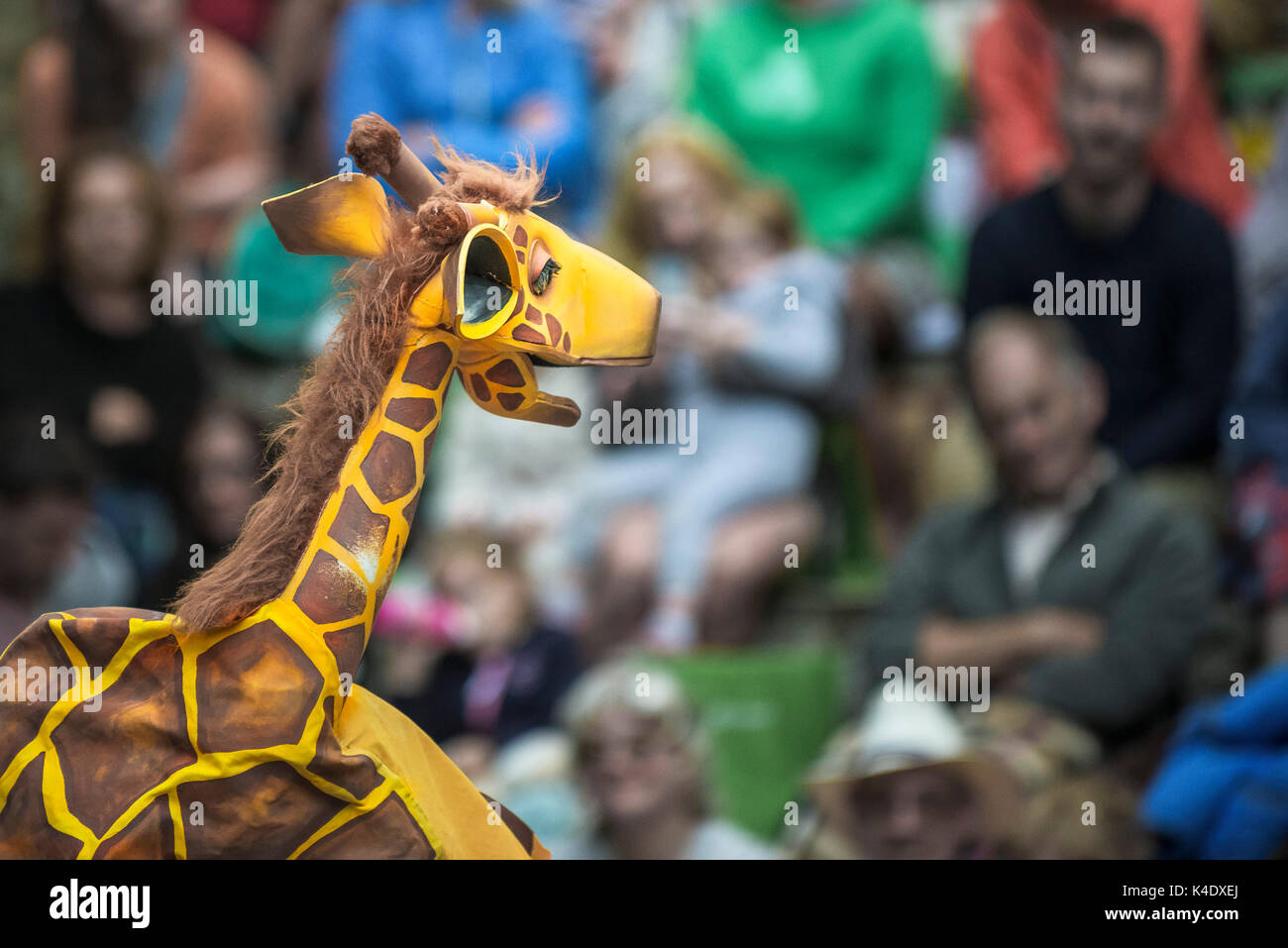 Puppetry - Una jirafa en la realización de marionetas gigantes más  inteligente de la ciudad en el anfiteatro al aire libre en Trebah Garden en  Cornwall Fotografía de stock - Alamy