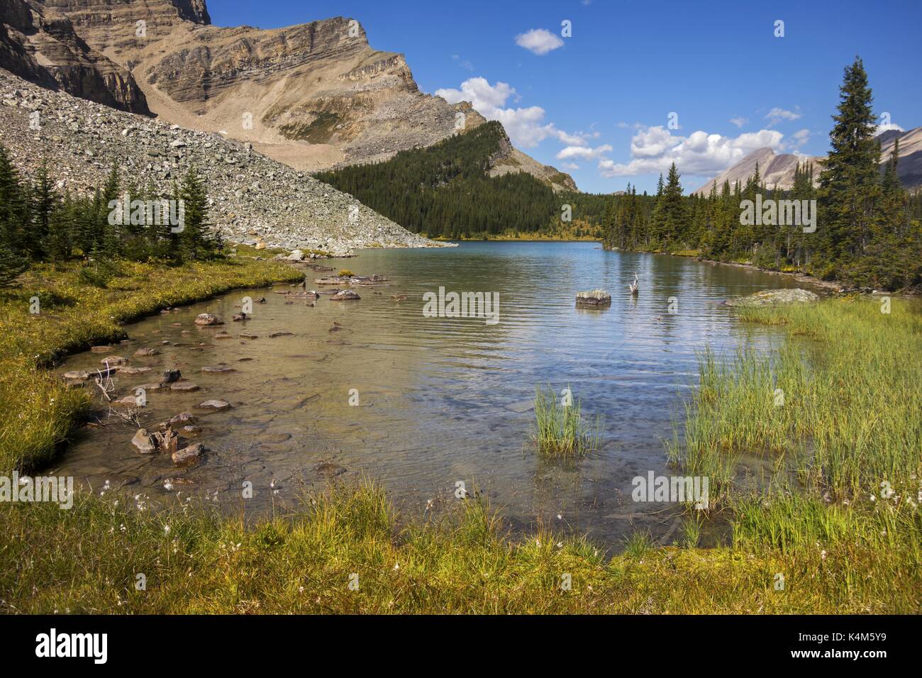 Vista panorámica del lago Blue Mountain y Green Alpine Meadow. Senderismo de verano en el Parque Nacional Banff, Rocosas Canadienses Foto de stock