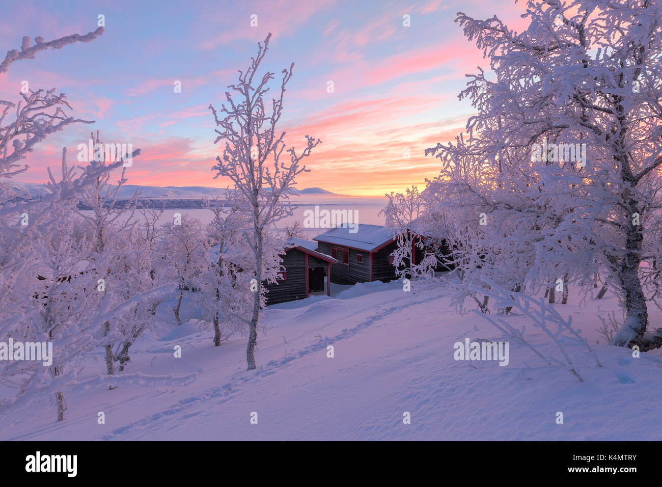 Alba luz ilumina una casa aislada en el bosque cubierto de nieve, bjorkliden, Ian norbottens, Suecia, Escandinavia, Europa Foto de stock