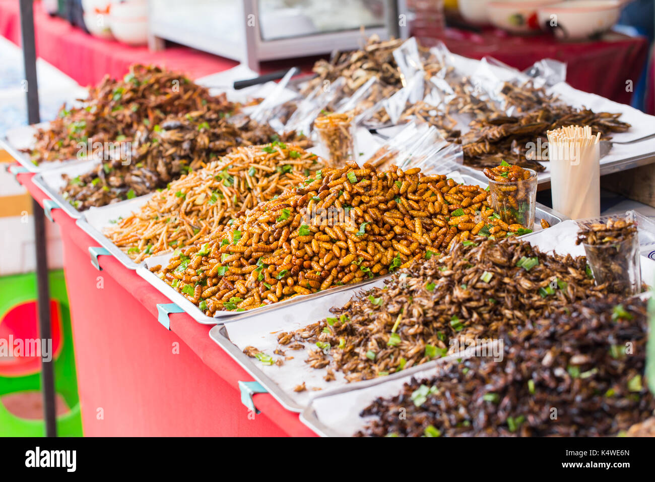 Bug fritos insectos asiáticos de la venta de comida, de alto contenido de proteína de la naturaleza. Foto de stock