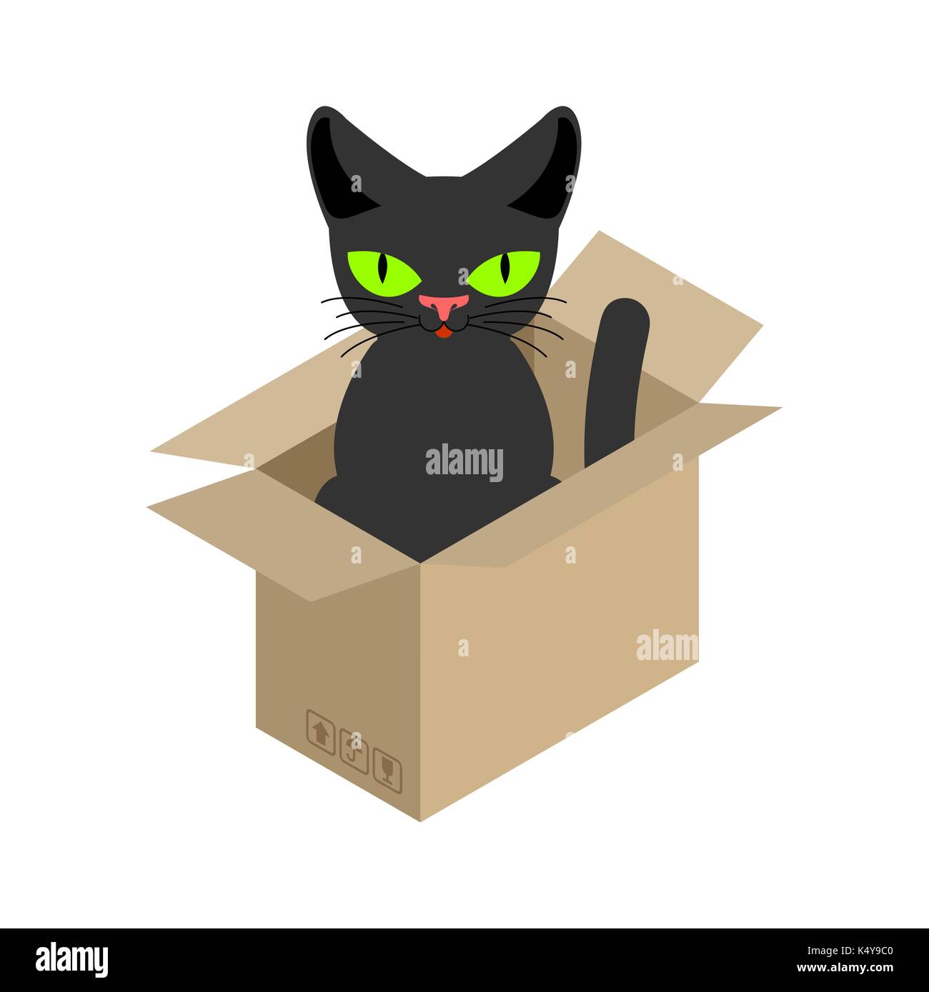 Gato en la caja aislada. pet en caja de cartón. ilustración vectorial  Imagen Vector de stock - Alamy