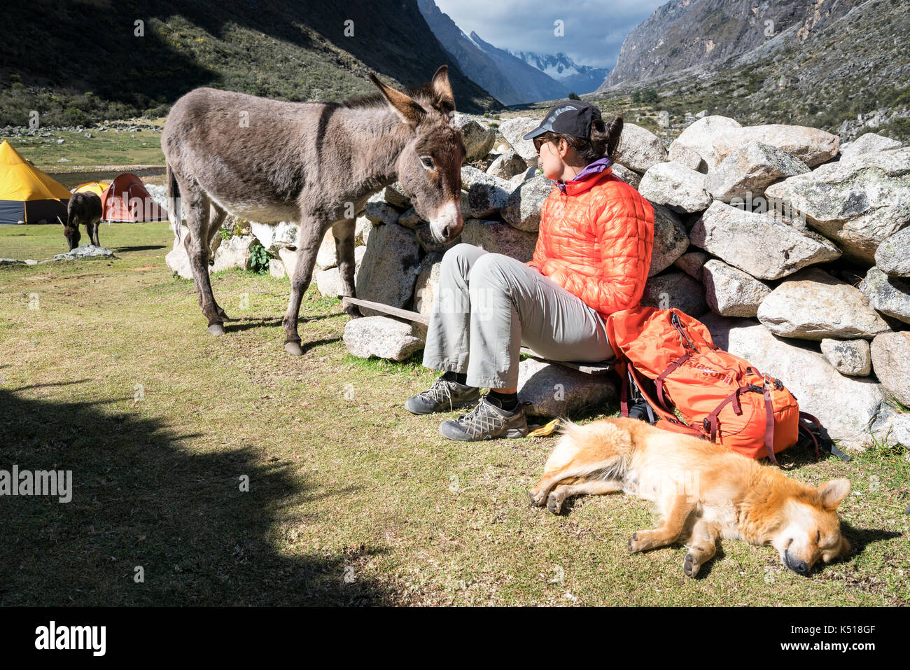 Tras un descanso de trekking en el valle de Santa Cruz, la Cordillera Blanca, Perú Foto de stock