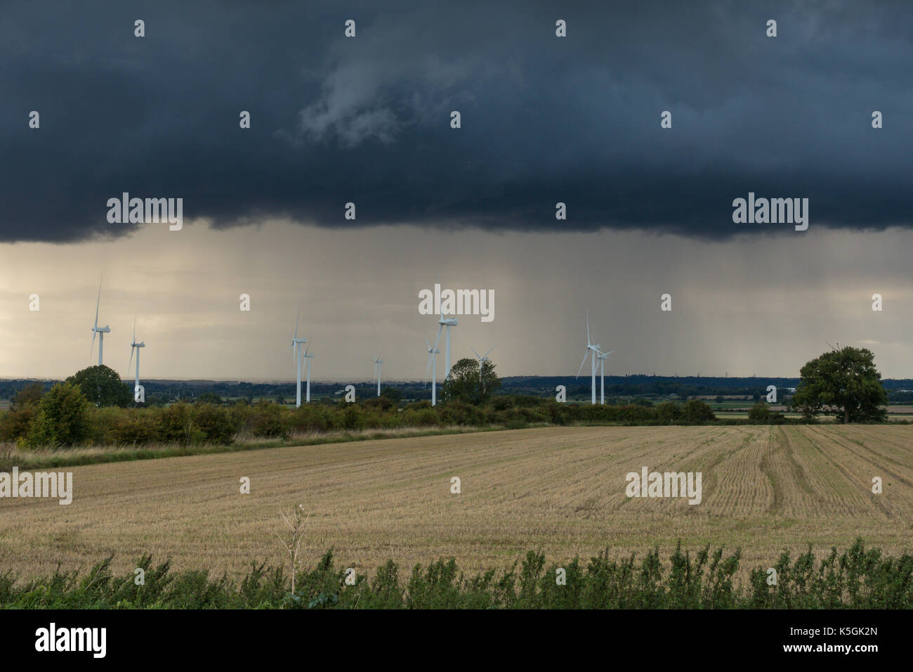 Henlow, Bedfordshire, turbinas de viento con el tiempo gris oscuro pesado en el fondo. Ver a través de un campo de agricultores. Foto de stock