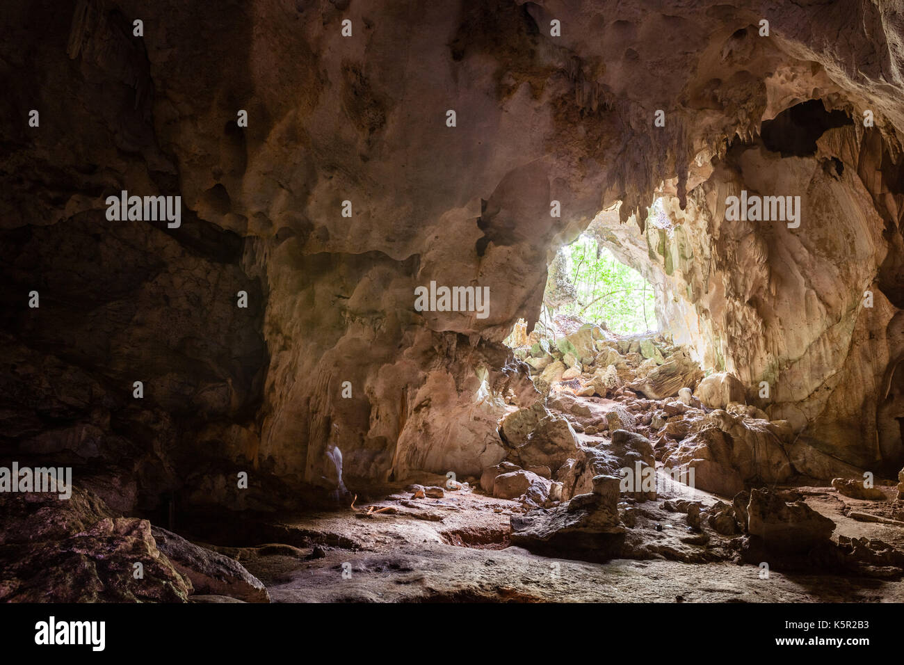 Paisaje en el Parque Nacional Haitises, República Dominicana Foto de stock