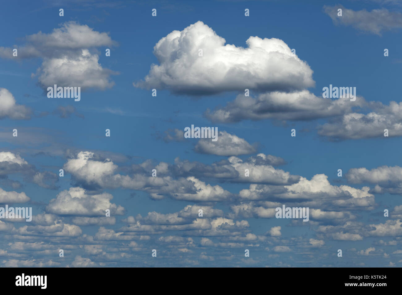 El tiempo justo de las nubes, agrupaciones nubosas, Cúmulos humilis, Alemania Foto de stock