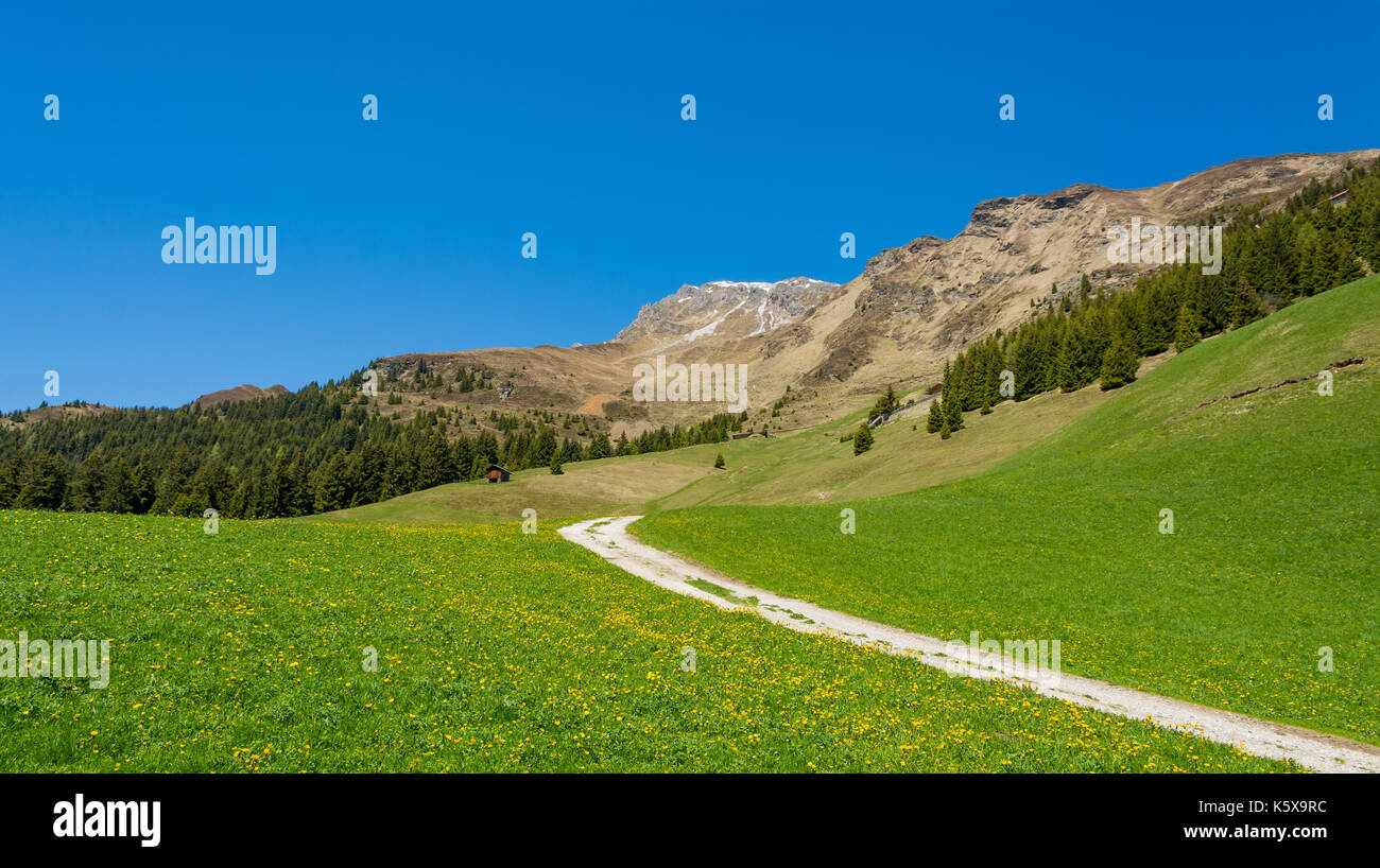 Carretera de montaña naturaleza paisaje panorámico. Valle Ridanna, Tirol del Sur, Trentino Alto Adigio, norte de Italia Foto de stock