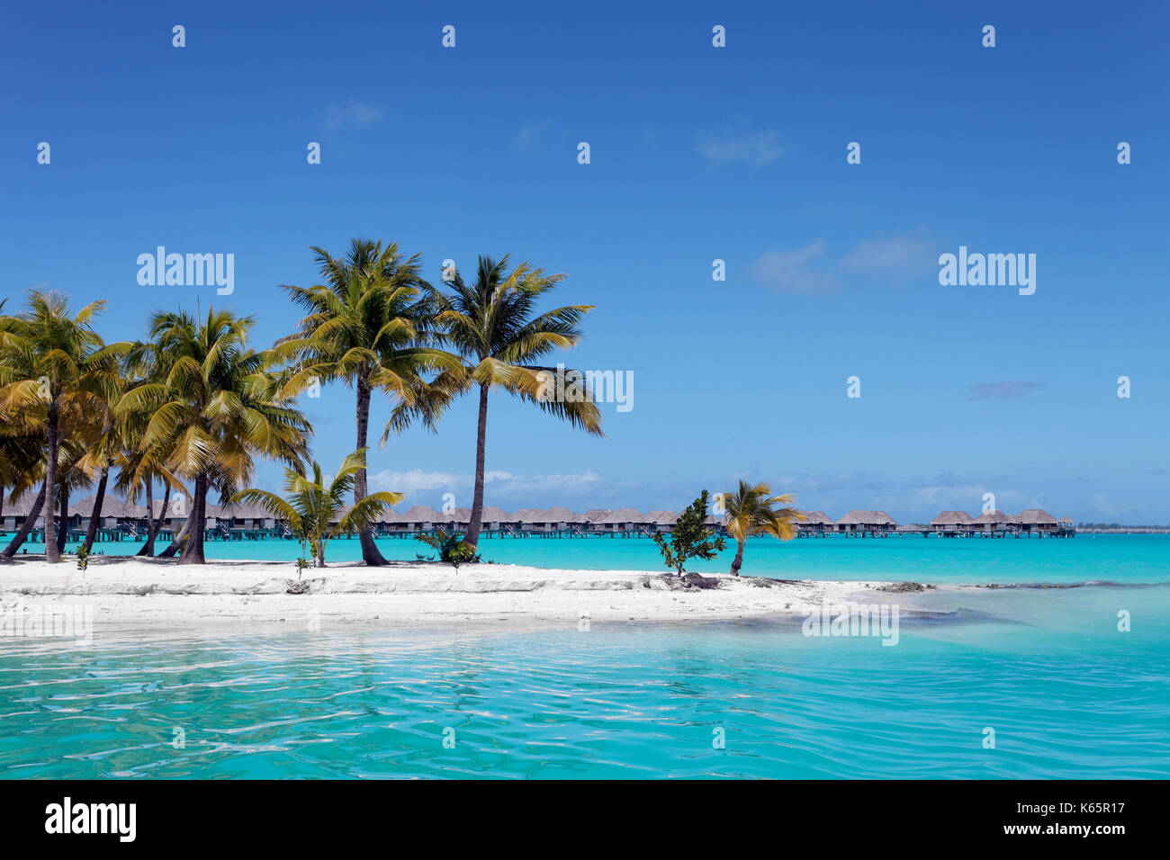 Pequeña península con palmas de coco en su mar turquesa, trasero resort con  agua bungalows, isla de Bora Bora, las islas de la sociedad Fotografía de  stock - Alamy