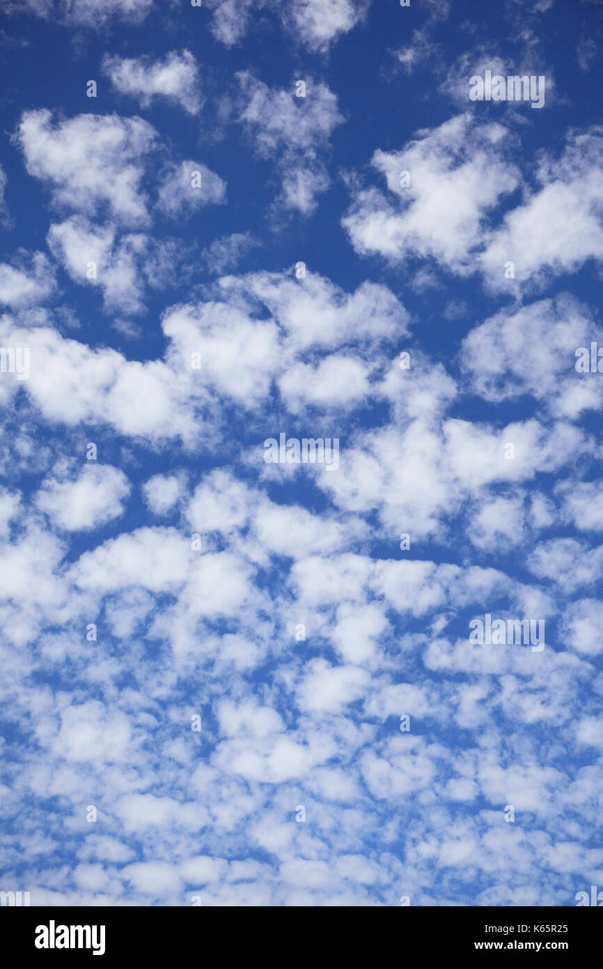Cirrocúmulos tipo lana, nubes, nubes de un mal tiempo delantero, Austria Foto de stock