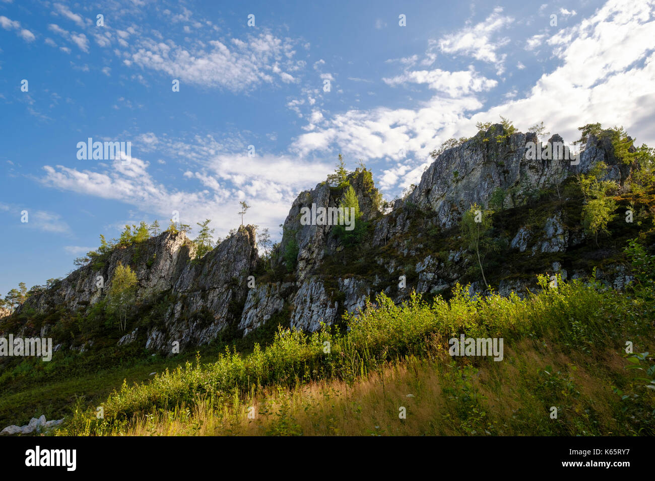 Cerca viechtach, bosque bávaro, la Baja Baviera, Baviera, Alemania Foto de stock
