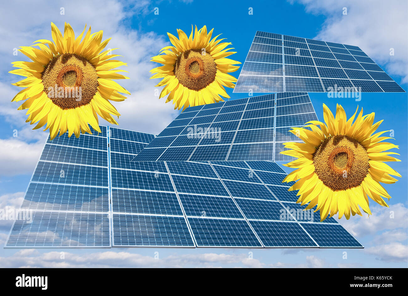 Fotomontaje con paneles solares y girasol flor Fotografía de stock - Alamy