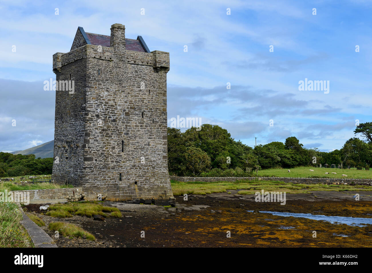 Rockfleet Castle (Castillo) Carrickahowley o en Clew Bay cerca de Newport, en el condado de Mayo, República de Irlanda Foto de stock