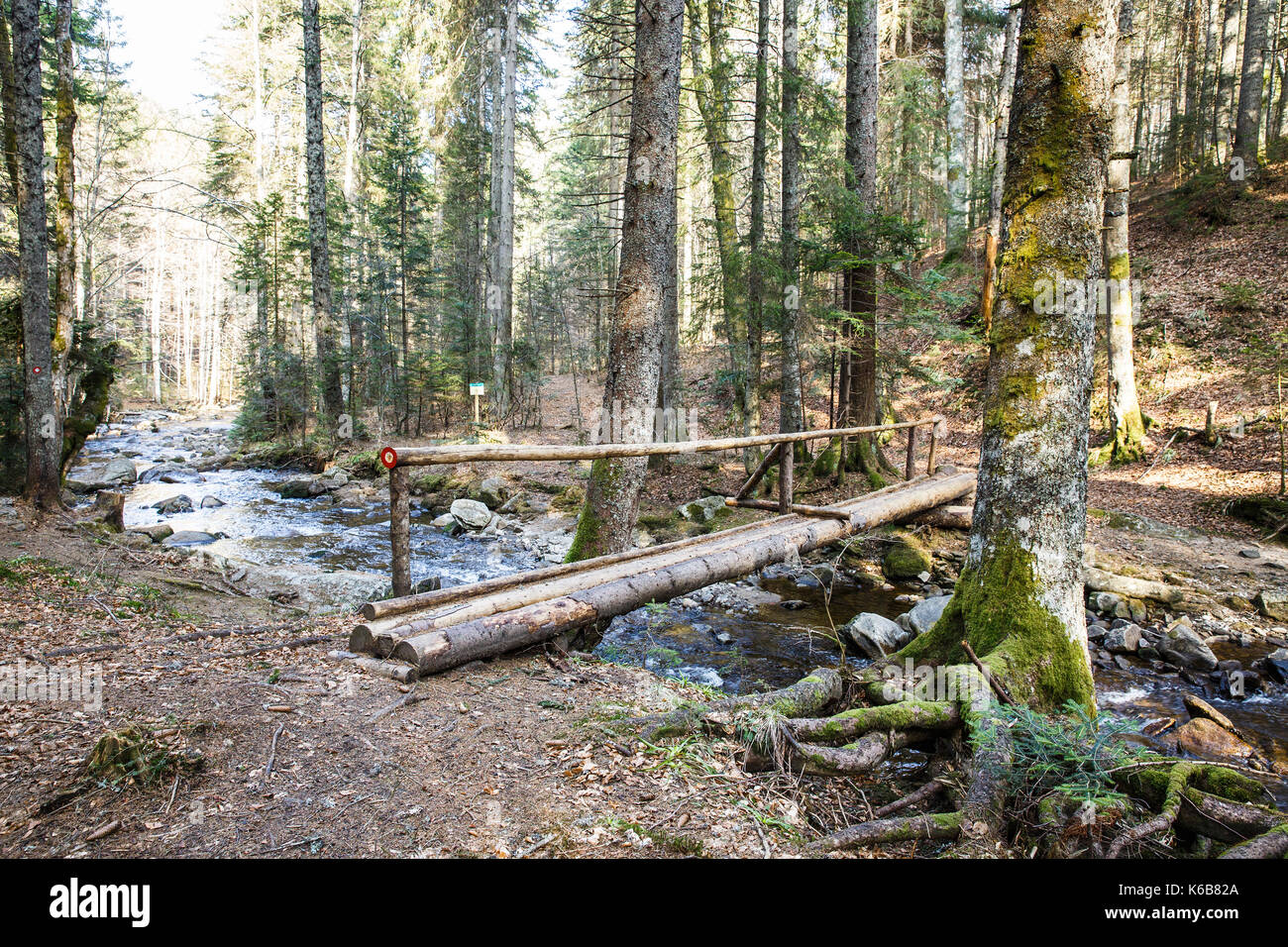 Registro de madera puente peatonal que cruza un río puro de la montaña en el bosque, con un blaze dibujado por dirección. desierto, la preservación de la naturaleza, el agua limpia y Foto de stock