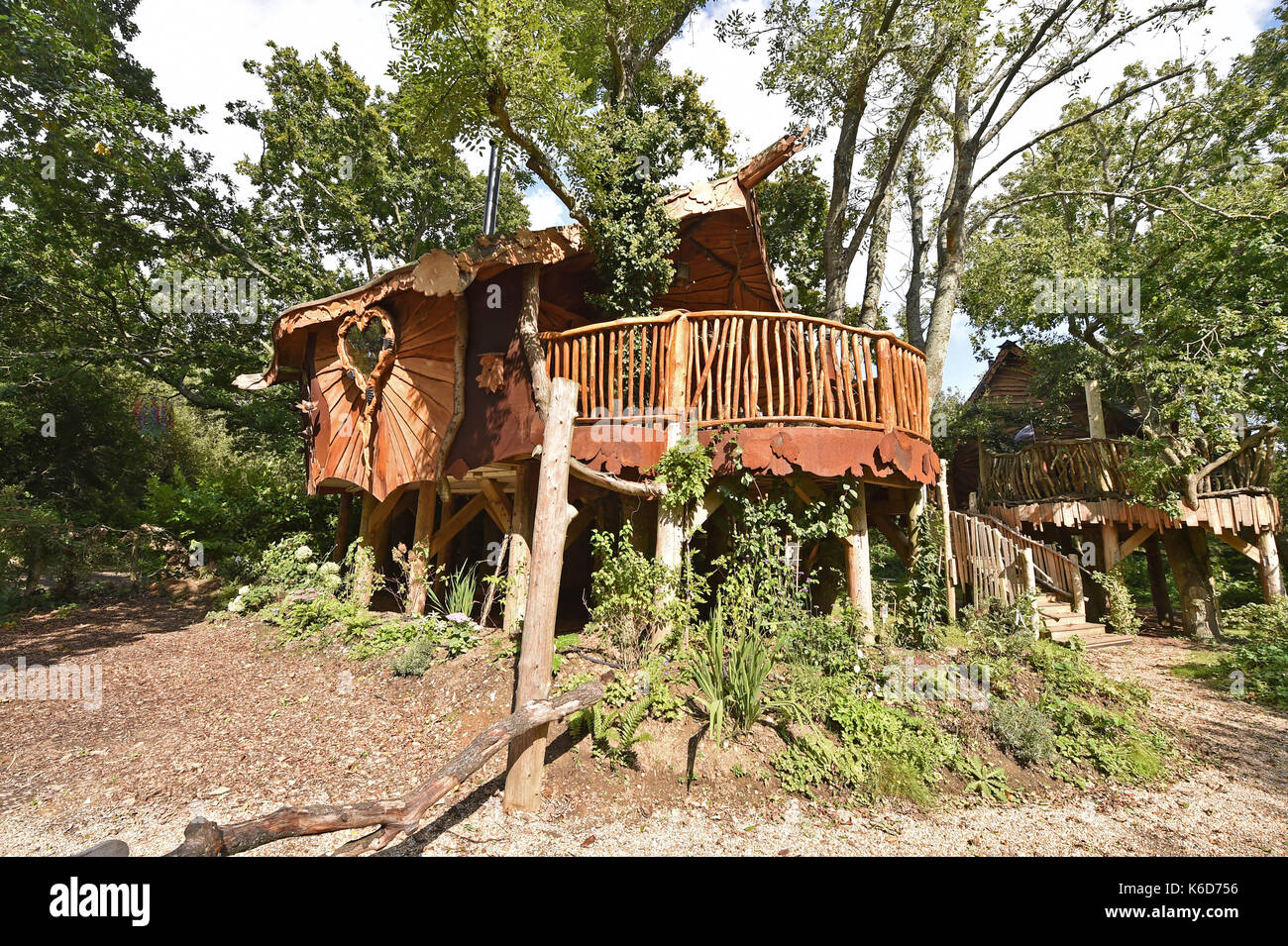 Ditchling Sussex, Reino Unido. 12 sep, 2017. una nueva casa en el árbol ha sido desvelado en blackberry madera camping cerca ditchling en Sussex . La nueva casa del árbol llamado piggledy de lujo ha sido construido por el propietario del camping Tim Johnson y es más grande que el original al lado de casa en el árbol llamado higgledy . El estrafalario camping es conocido por tener un autobús londinense y un viejo helicóptero wessex, donde la gente puede alojarse en un entorno tranquilo, situado justo al norte del parque nacional South Downs credit: Simon dack/alamy live news Foto de stock