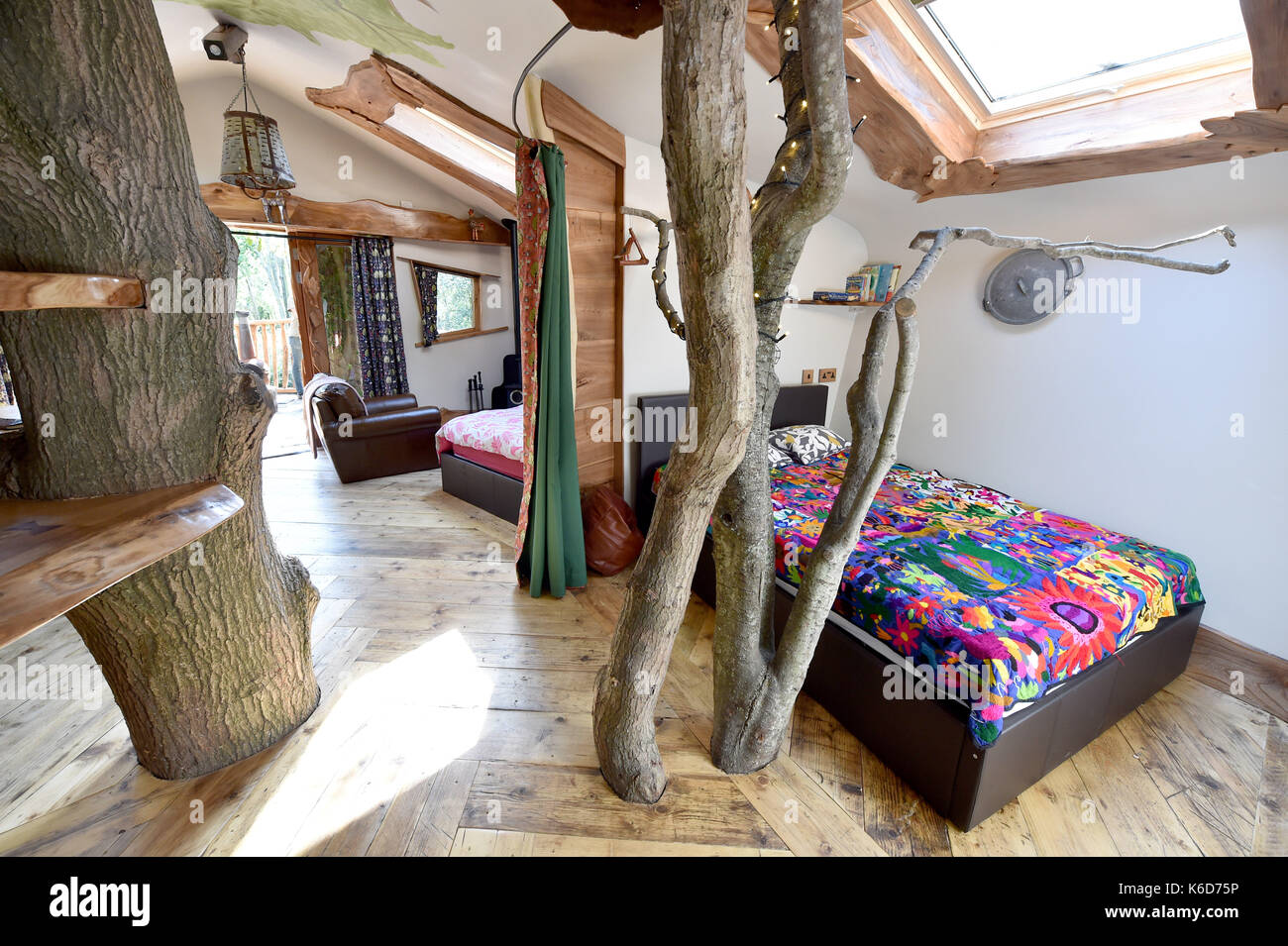Ditchling Sussex, Reino Unido. 12 sep, 2017. una nueva casa en el árbol ha sido desvelado en blackberry madera camping cerca ditchling en Sussex . La nueva casa del árbol llamado piggledy de lujo ha sido construido por el propietario del camping Tim Johnson y es más grande que el original al lado de casa en el árbol llamado higgledy . El estrafalario camping es conocido por tener un autobús londinense y un viejo helicóptero wessex, donde la gente puede alojarse en un entorno tranquilo, situado justo al norte del parque nacional South Downs credit: Simon dack/alamy live news Foto de stock