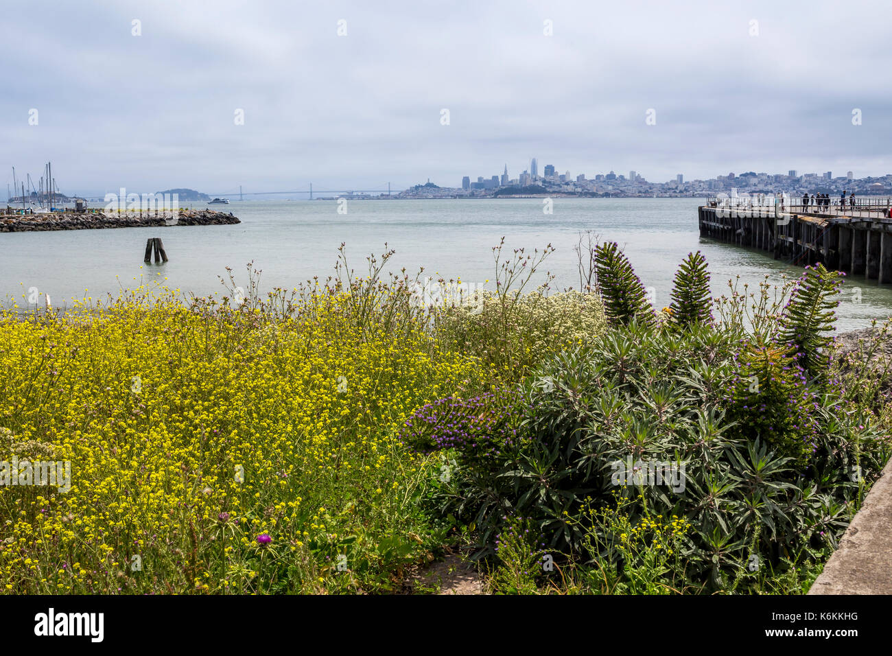 La flora, la vegetación, la gente, la vista hacia san francisco desde Fort Baker, Fort Baker, ciudad de Sausalito, Marin County, California, Estados Unidos Foto de stock