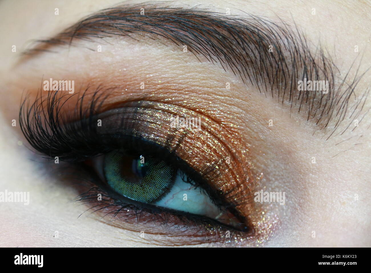 Maquillaje de cerca con lentes de contacto verde y dorado, marrón y negro  sombreador de ojos Fotografía de stock - Alamy