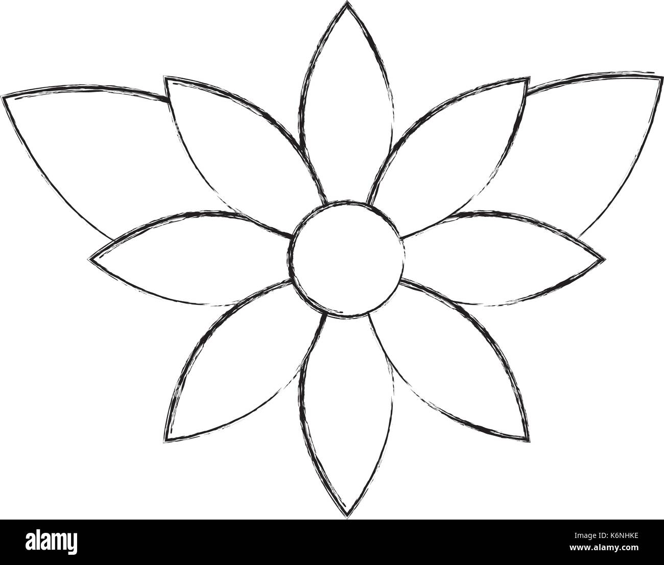 Nochebuena flor ilustraciã³n Imágenes de stock en blanco y negro - Alamy