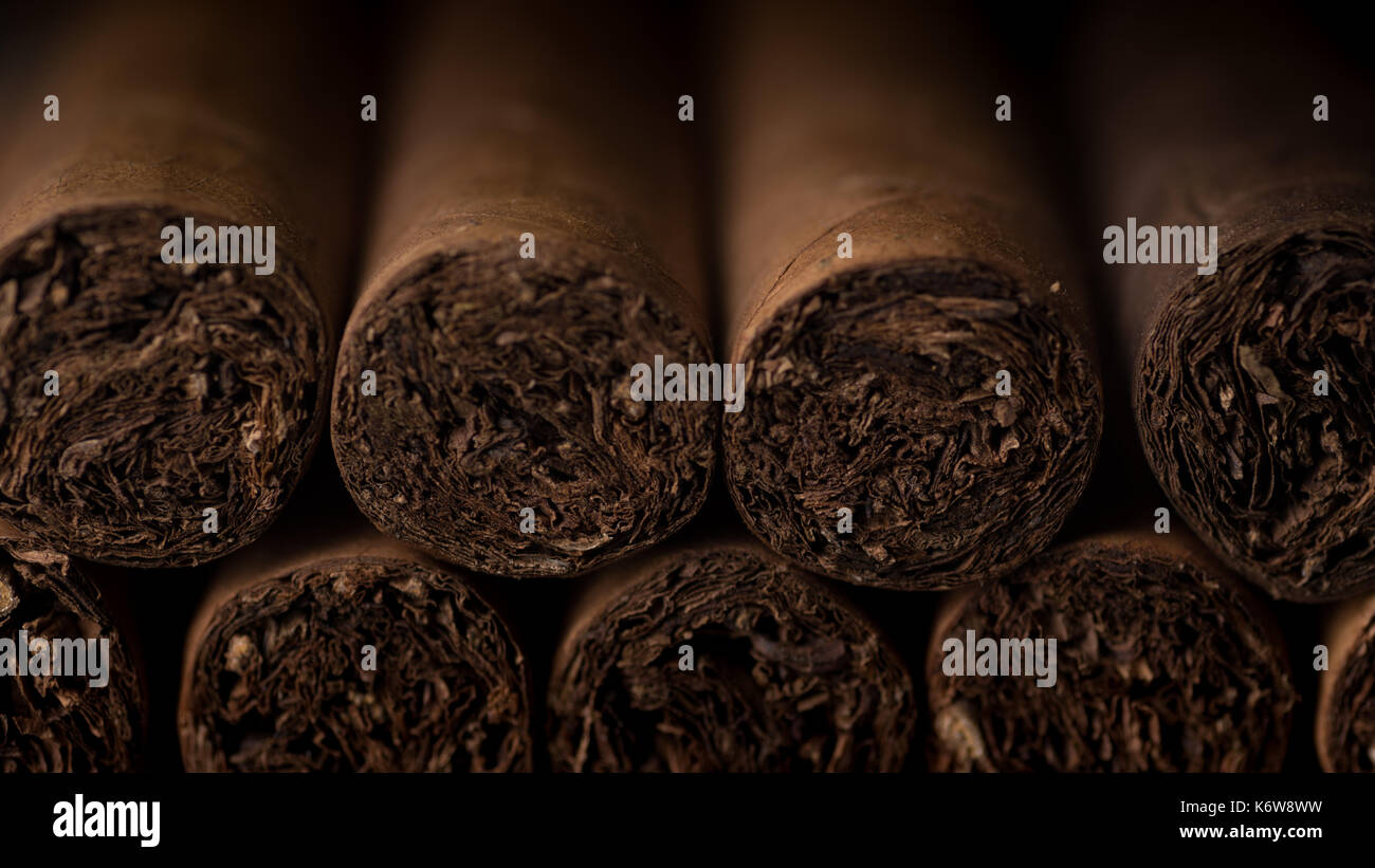 Gesellschaft, Deutschland, Rheinland-Pfalz, Waldsee, Estudio, septiembre de 13. Zigarren der Nahaufnahme, Macro . Foto de stock