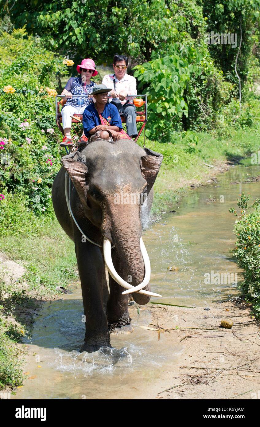 Tailandia, Koh Samui, elefante (Elephas maximus) con los turistas para un pequeño viaje de ida y vuelta en la selva Foto de stock