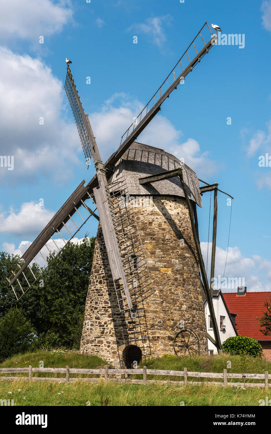 Großenheider Königsmühle, molino de viento holandés, molino de viento, Todtenhausen, Minden, Westfälische Mühlenstraße, Minden-Lübbecke Foto de stock