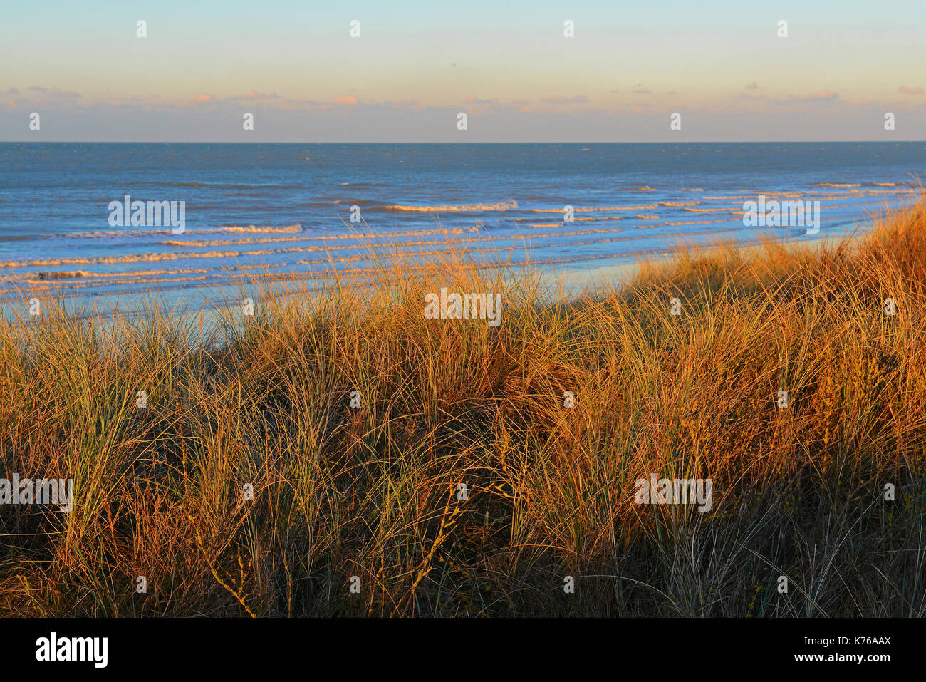 El paisaje de las dunas de arena de Ostende con dune hierba iluminada al atardecer con el Mar del Norte, en el fondo, en el oeste de Flandes, Bélgica. Foto de stock