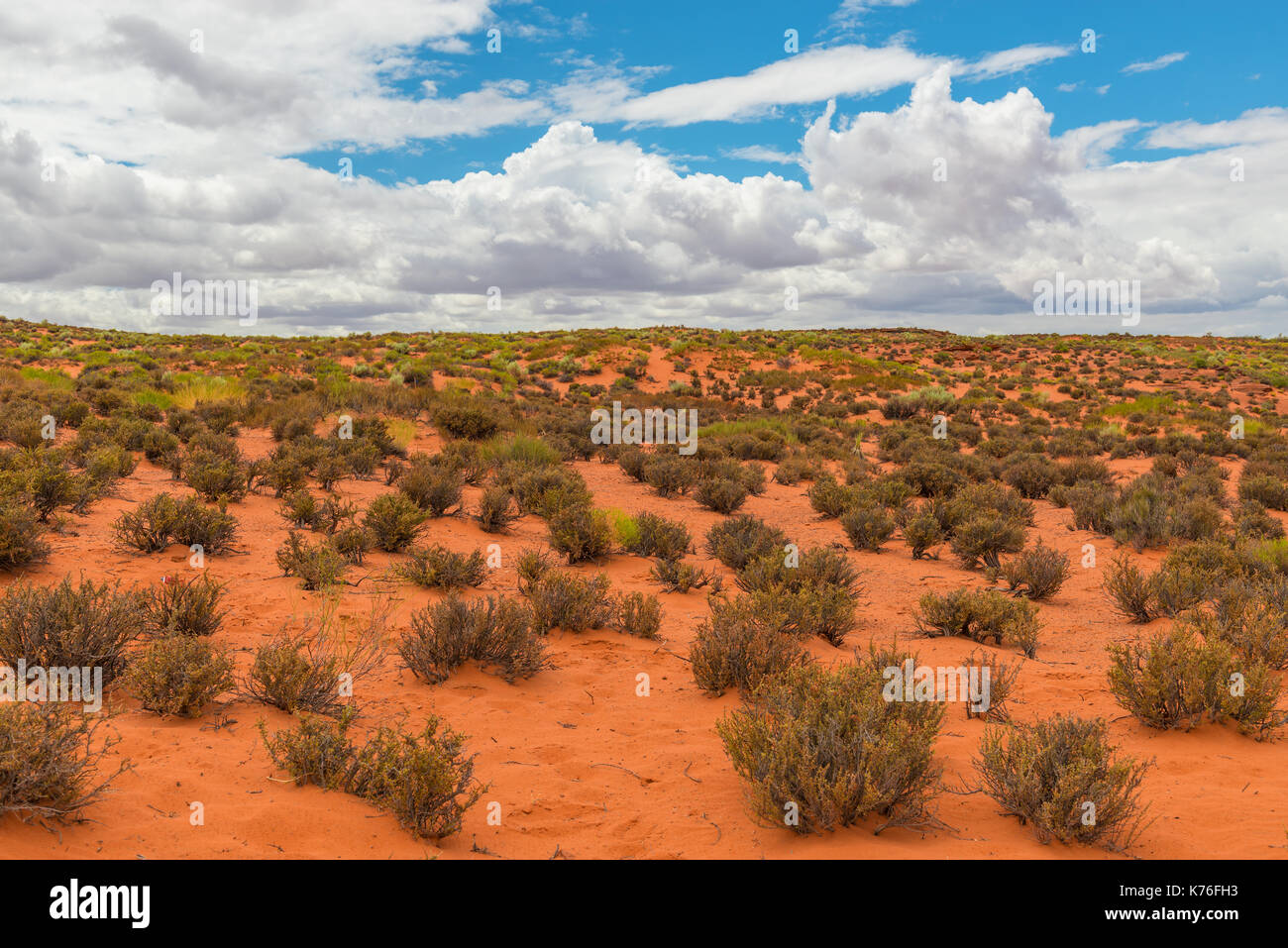 Paisaje típico del árido clima del desierto de Arizona, con sus arbustos, EE.UU.. Foto de stock
